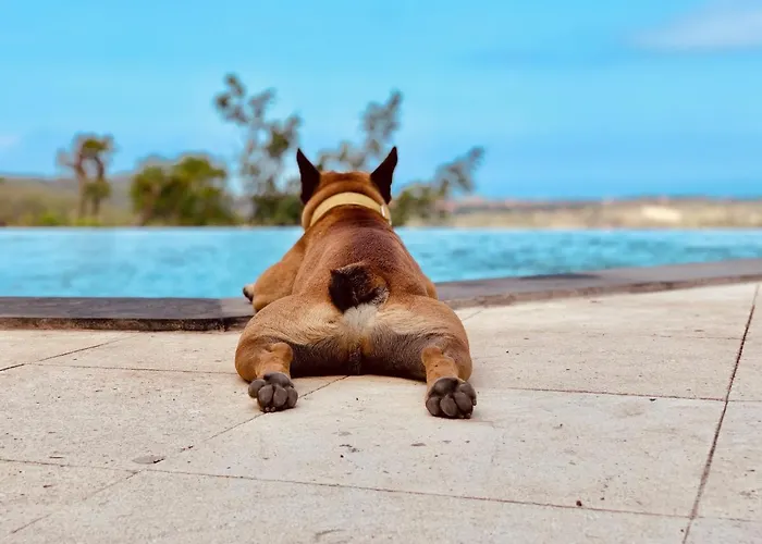 Oceanna - Uluwatu, Bali ウルワツ